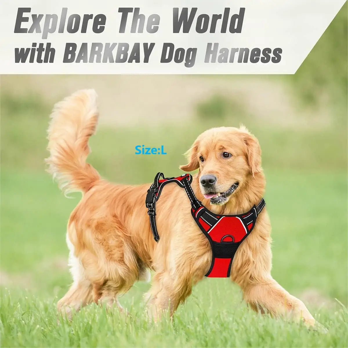 Tactical No-Pull Dog Harness & Heavy-Duty Leash Combo